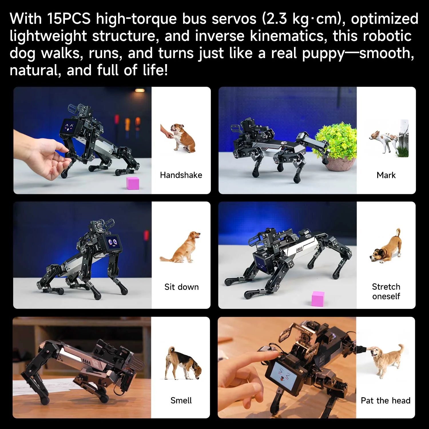 Yahboom DOGZILLA-Lite 15DOF AI Large Model Bionic Robot Dog STEM Education Python Programming Robot