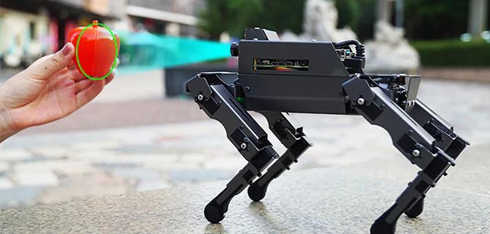 Yahboom DOGZILLA S1 S2 12DOF AI robot dog with Raspberry Pi