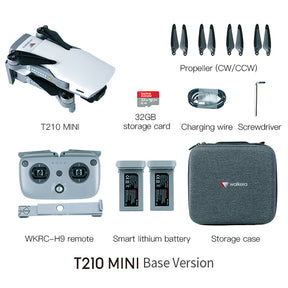 Walkera T210 Mini RC Drone 2KM FPV GPS 3-Axis Gimbal 4K HD Camera Basic Version Quadcopter