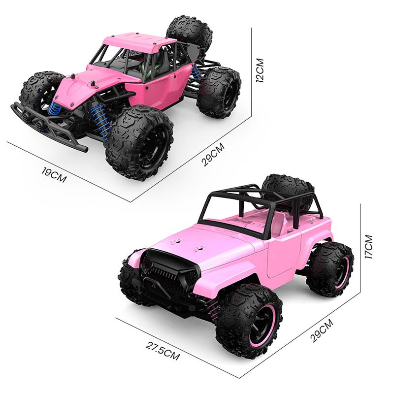 RC Car Pink 1:18 Full-Scale High-Speed Off-Road Climbing 4WD Car